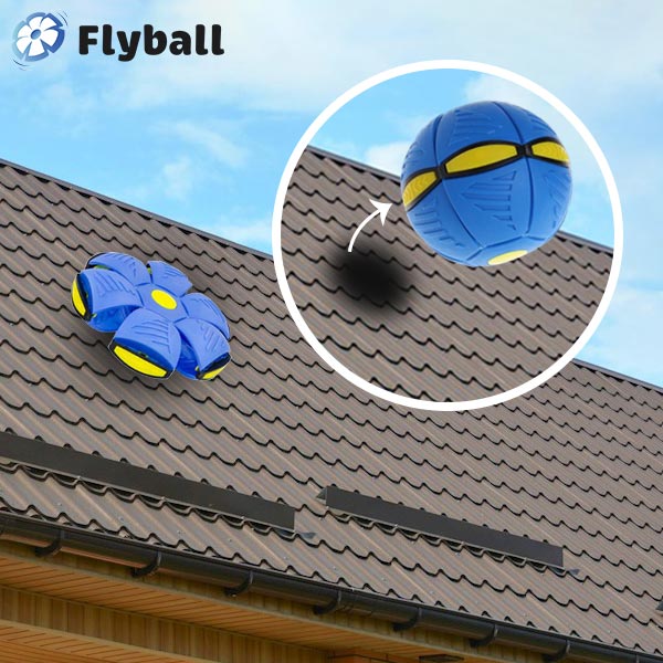FLYBALL™  –  PALLA FRISBEE 1 + 1 GRATIS